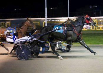 Face The Shadows rebounds for Batavia distaff victory