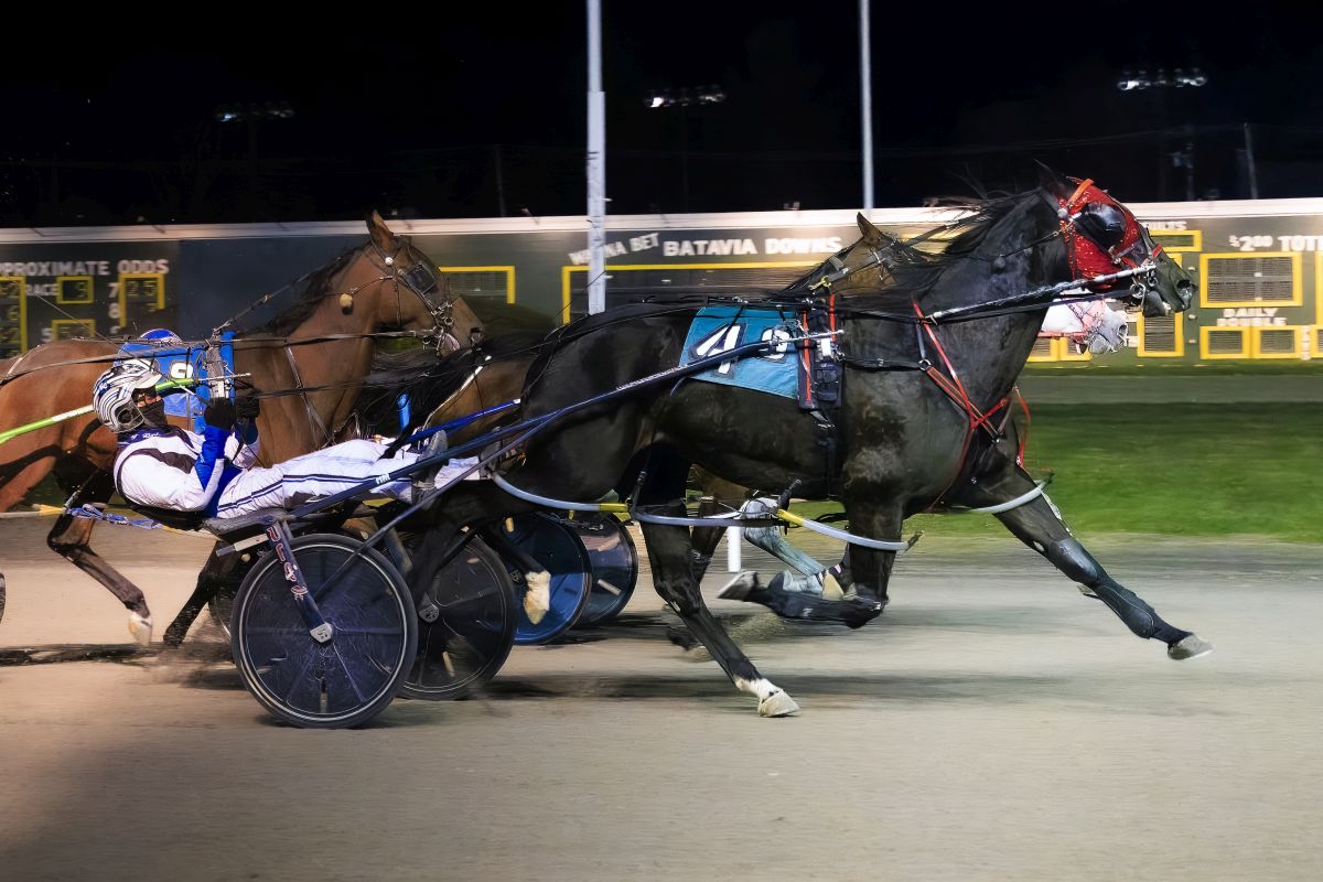 Face The Shadows recovers from break to score narrow win 1