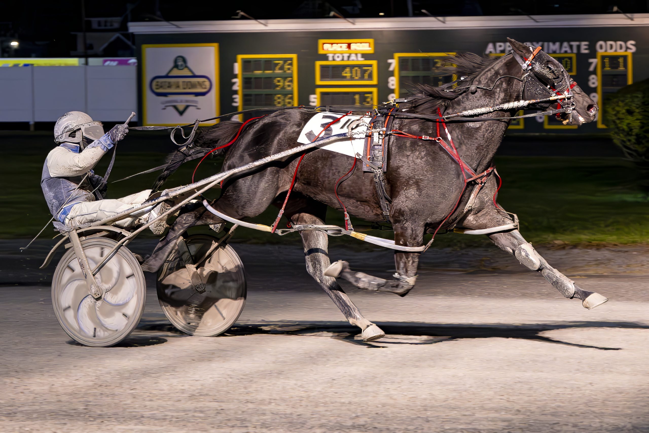 Face The Shadows handles weather and rivals 1