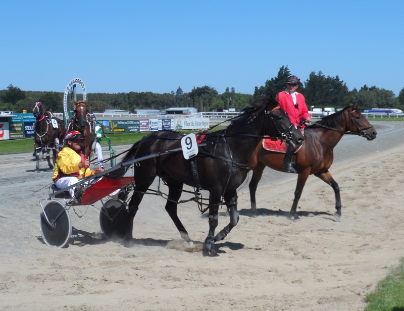 Franco Ledger - 2013 Invercargill Cup winner 2 Franco Ledger and Hamish Hunter returning to the birdcage after his Invercargill Cup win (Bruce Stewart Photo)