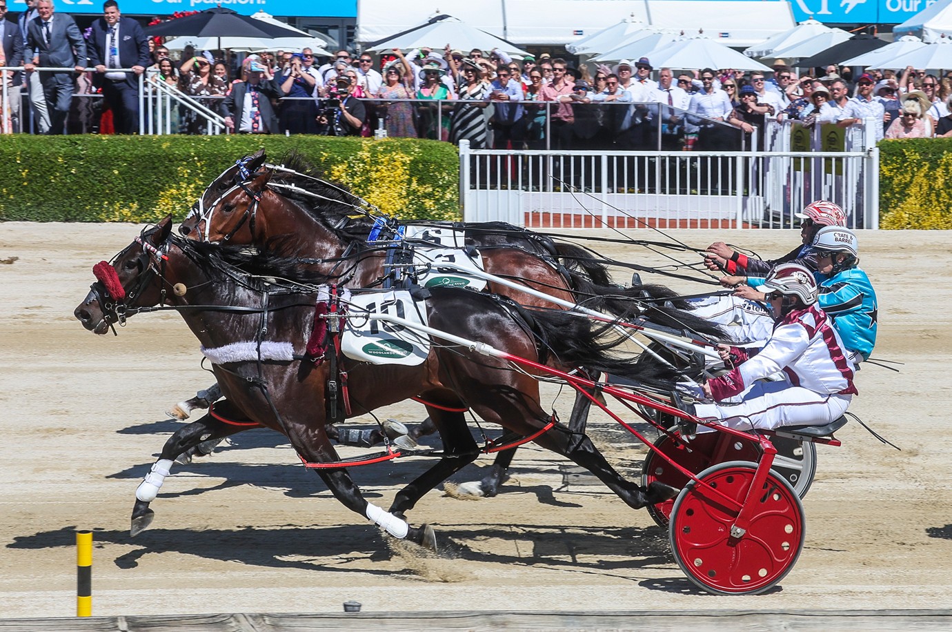 Freeze the frame - Kim wins Group One 1