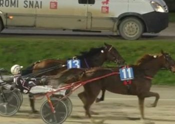 Ginger Wise As wins Gr II Paolo at Orsini Orsi Mangelli Filly