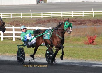 Cushing scores four win “Grand Slam”