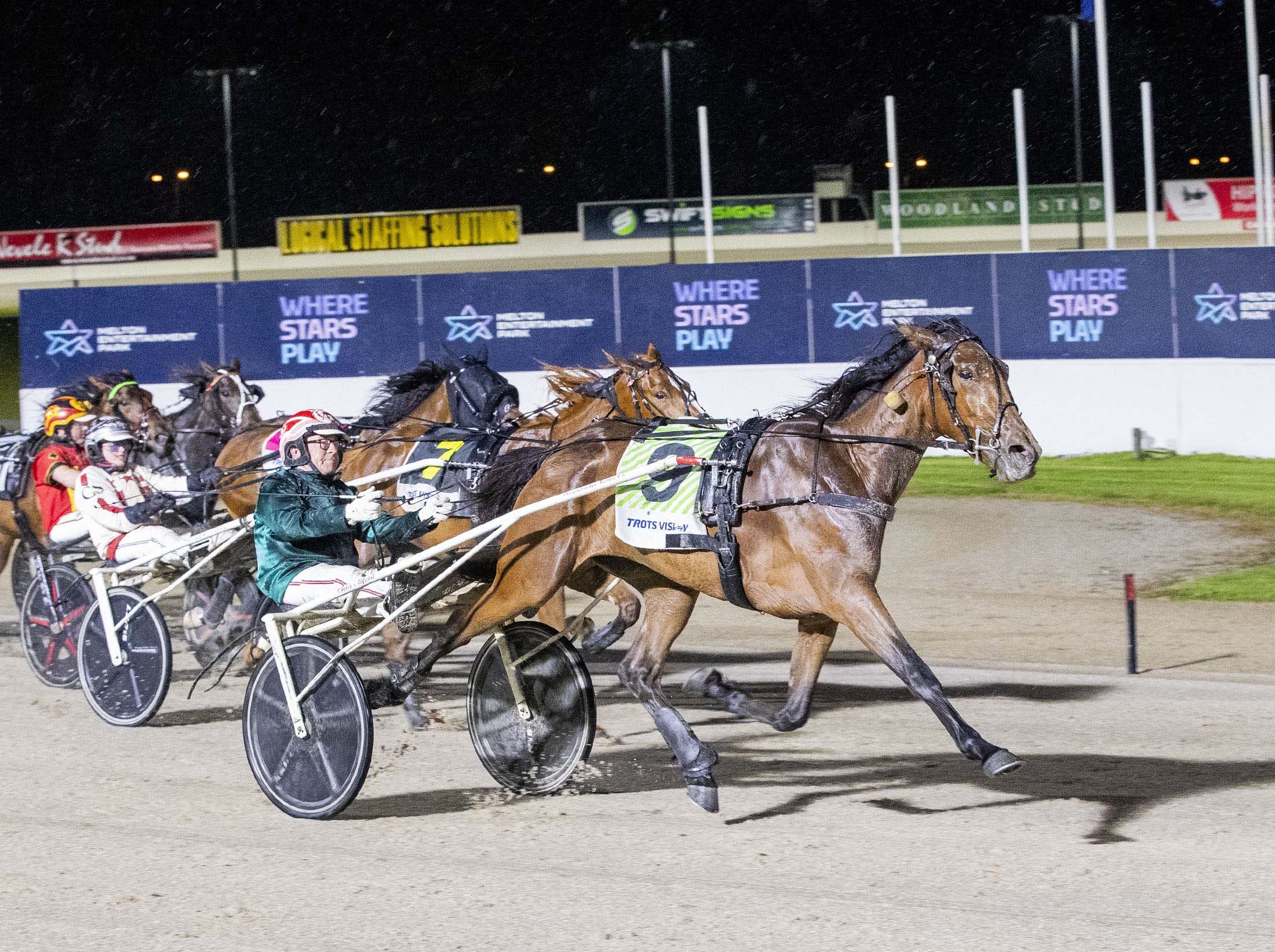 Emerging trotting sire Helpisontheway for Balmain Lodge 1