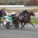 Hespoisedtopounce A strikes late to capture Baystate Special 2