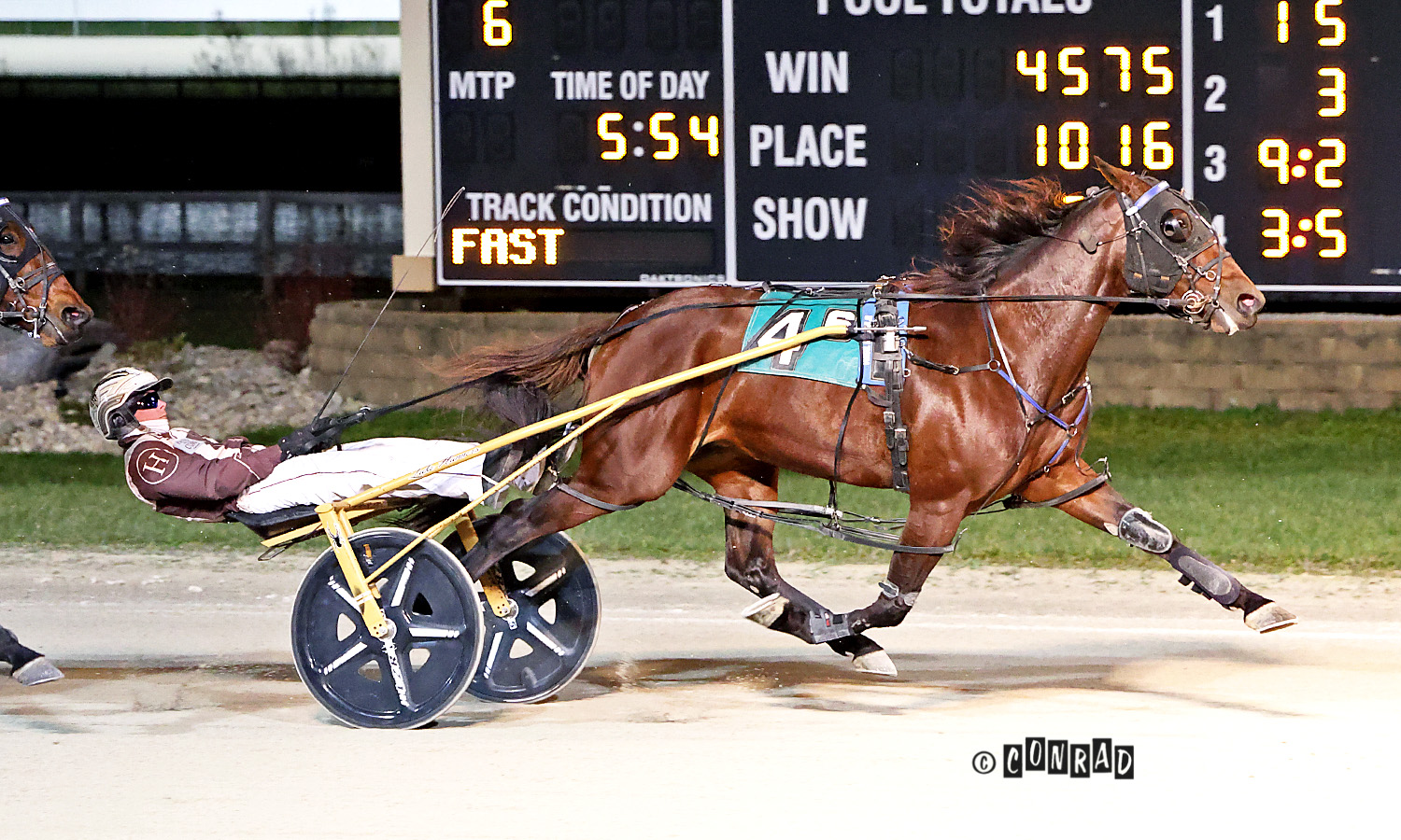 Hey Hey Mama untouchable winning easily 1