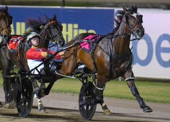 Horn Player arrives in big time