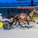 Tony Morgan notches career driving win 18,000