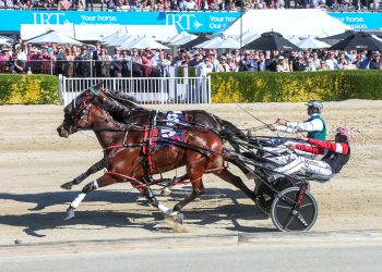 The faces of thirteen races – Cup Day pics