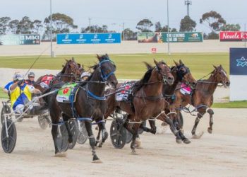 Its Confidential gets up in last stride in APG Vicbred Final.