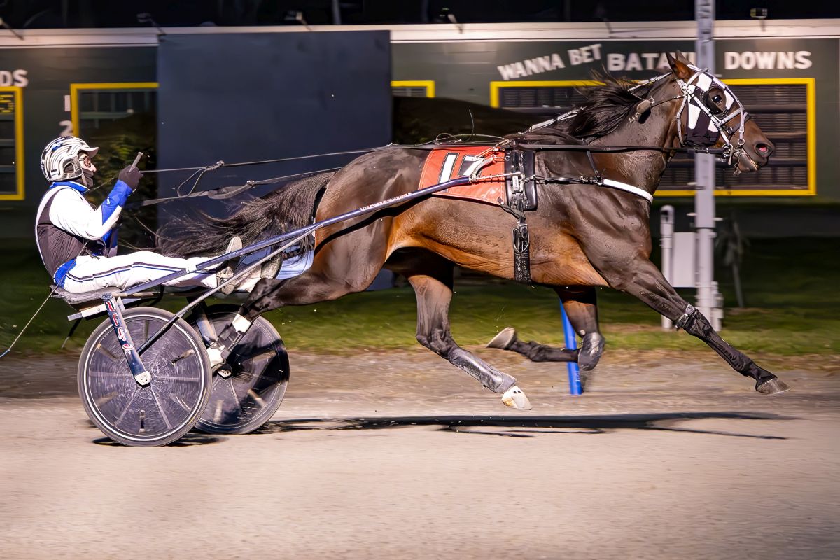 Front end power on display in AA Trots 2