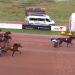Jaguar du Fan scores in Gr III Grand Prix de l’Hippodrome de Catelaillon