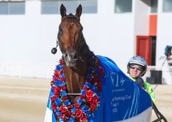 The faces of thirteen races – Cup Day pics