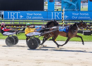 Ray gives Lilley Group One victory on home soil