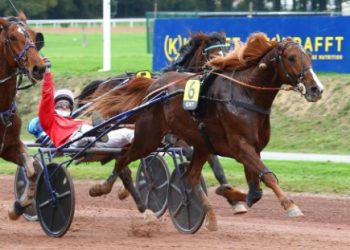 Kamehameha takes Grand National du Trot