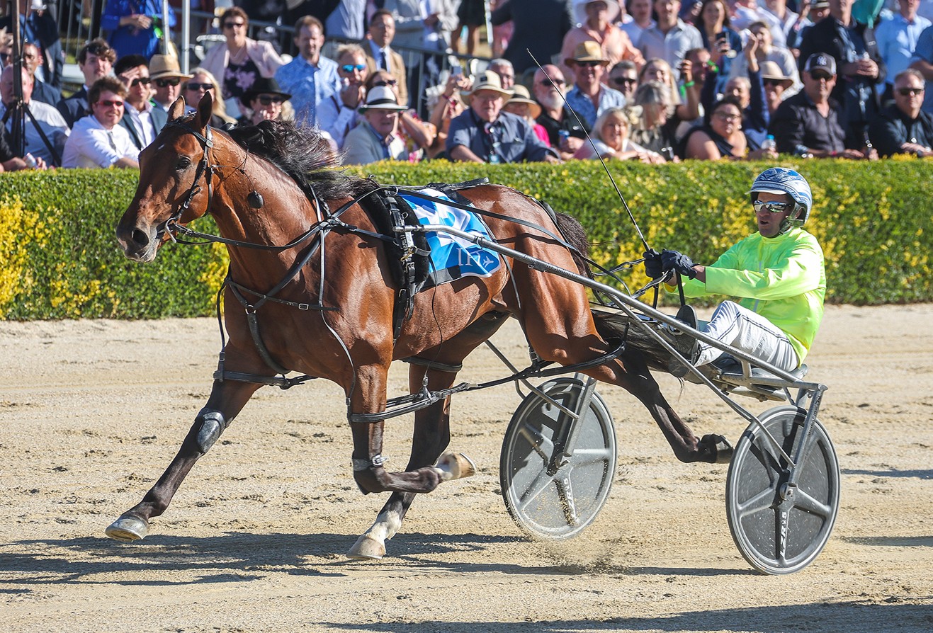 Kingman draws wide as Addington prepares mega Group 1 night 1