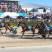An Aussie's perspective on the NZ Cup carnival 2