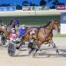 Sanderson’s ‘Dream Season’ rolls on into Vicbred Finals