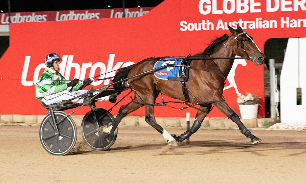 Let Her Roll in SA Oaks Demolition 1