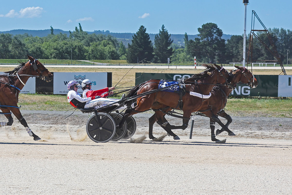 Major Happy rekindles memories of a great mare 2