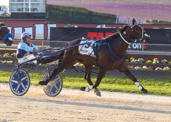 Major assignments ahead for Ferguson