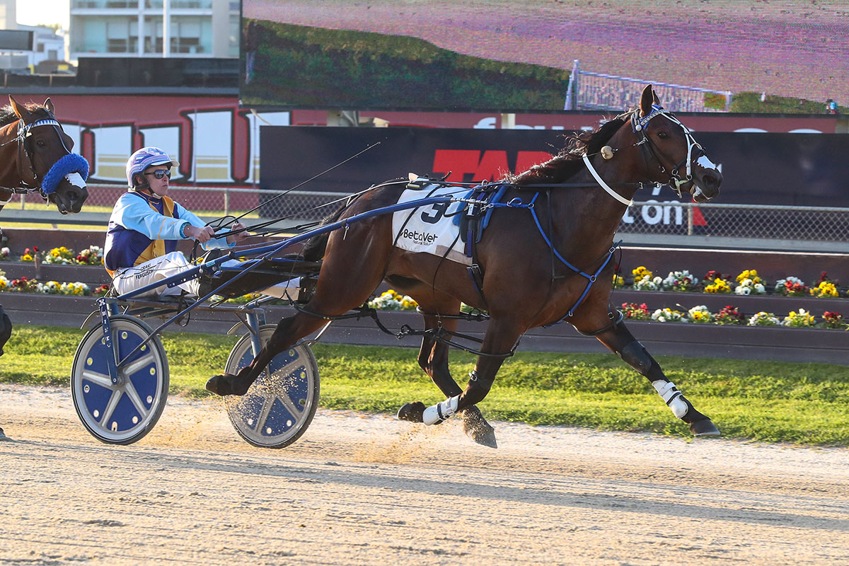 Major assignments ahead for Ferguson 6