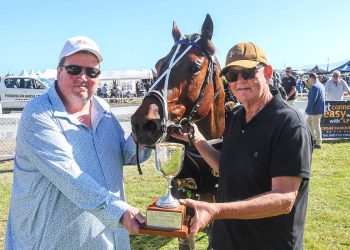 Merlin waves the wand