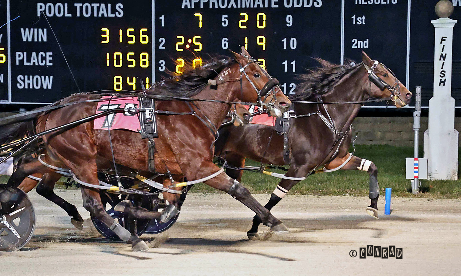 Buckeye fans celebrate as What A Buckeye cruises 1