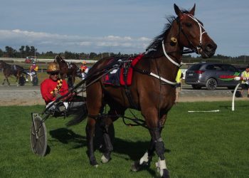 The battle of the Mikis