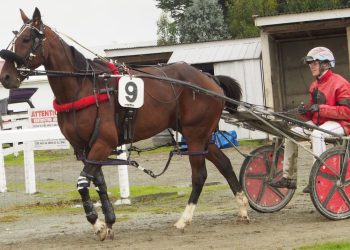 Negus has strong chances at Oamaru
