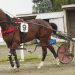 Negus has strong chances at Oamaru 2 Negus has strong chances at Oamaru