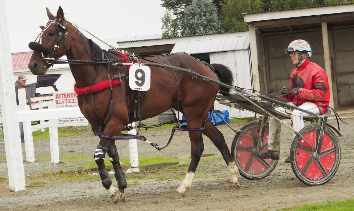 Negus has strong chances at Oamaru 2