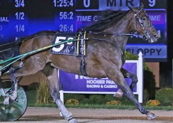 On To Norway splashes to his 22nd consecutive victory