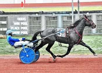 One After Nine stays perfect in Winter Is Coming series