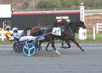 P L Pasquale goes lifetime best in third straight win at Plainridge