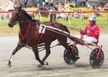 Good team – bad draws