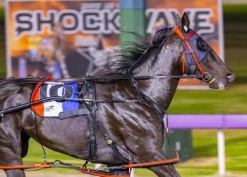 Penny Black’s determination to the fore in Norms Daughter classic