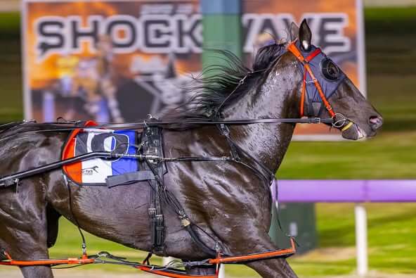 Penny Black’s determination to the fore in Norms Daughter classic 1