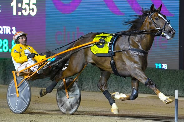 Pesco Pollo continues David Aiken’s run of success 1