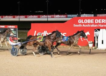 Seymour Trotters Cup headlines feature-filled Saturday