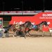Seymour Trotters Cup headlines feature-filled Saturday 1 Seymour Trotters Cup headlines feature-filled Saturday
