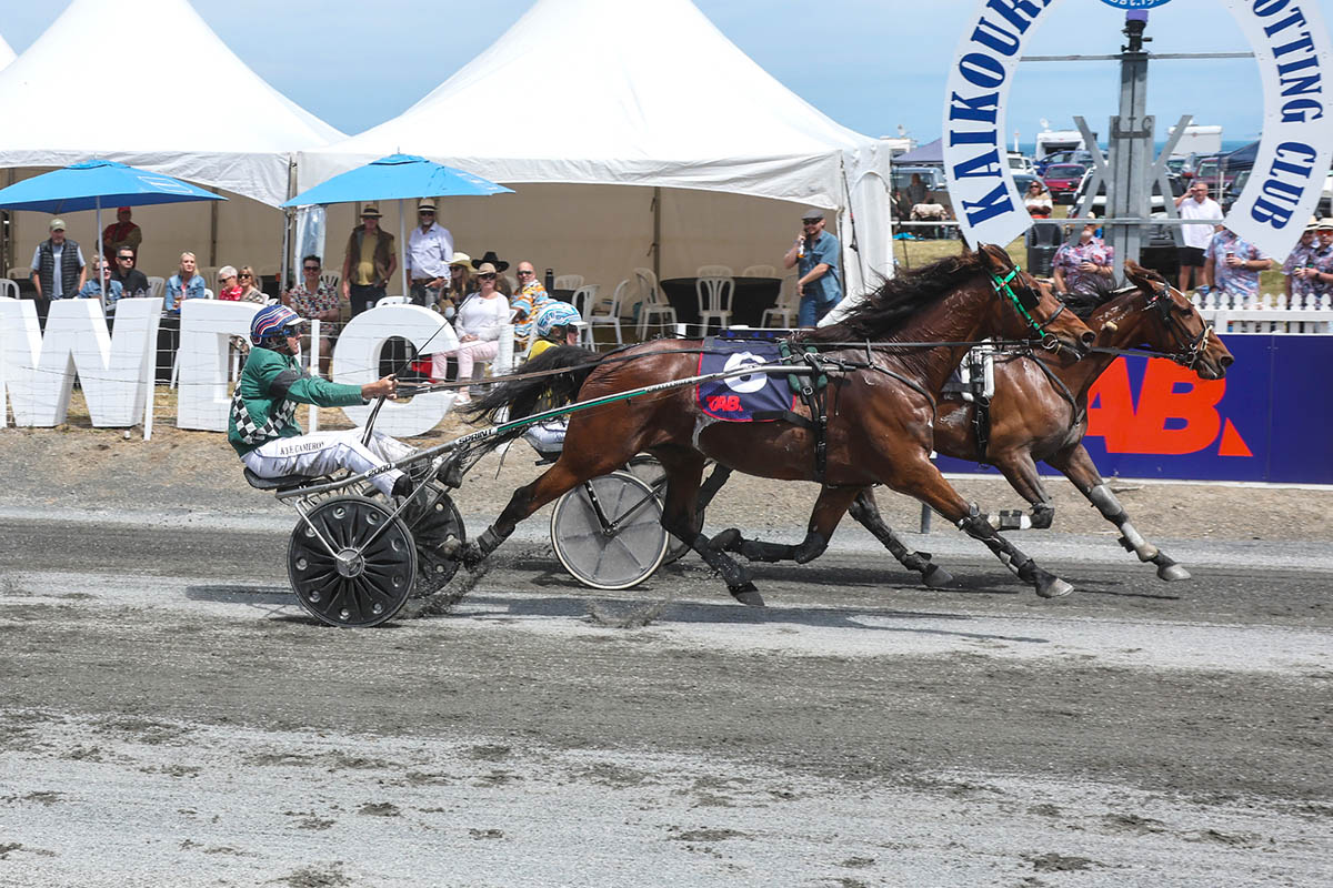 Royal Diedre wins for journeyman 2