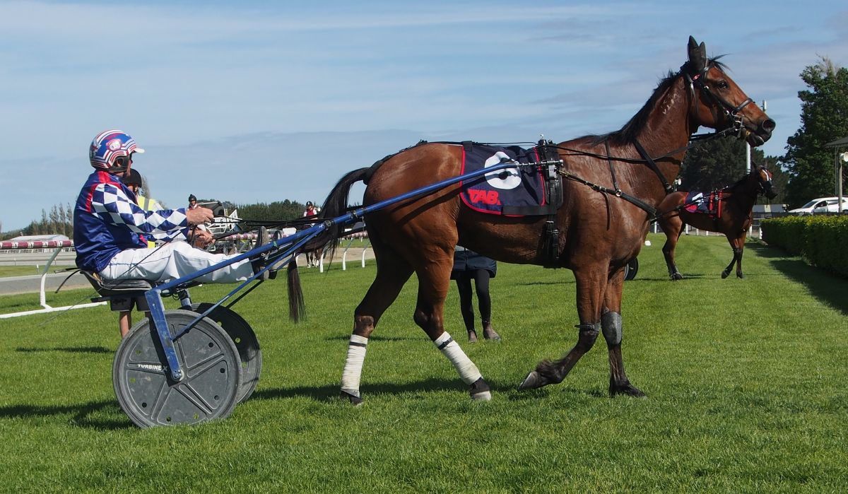 Hoffman rejuvenates aged trotter 2