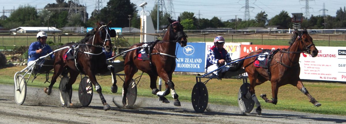 Hoffman rejuvenates aged trotter 1