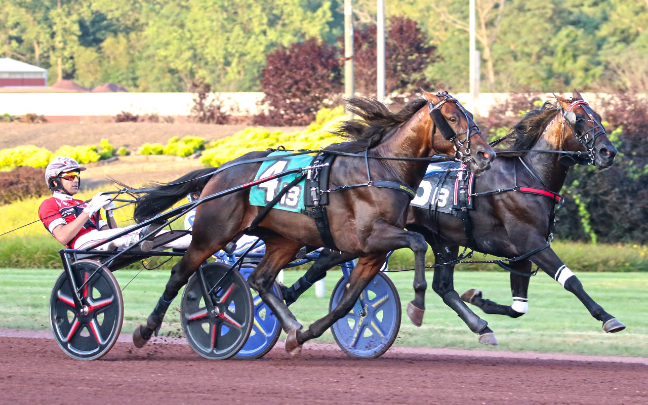 Super Chapter leads stellar cast of District 8 Award winners 1