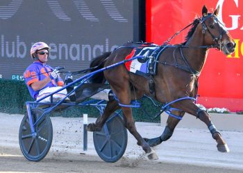 Favourites prevail in Vic Bred three year old colts and geldings heats