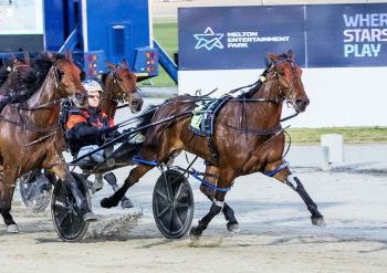 Heats of APG Vic Bred show depth of three year old fillies