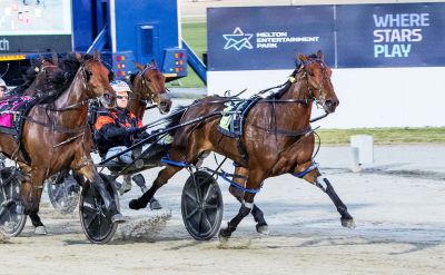 Heats of APG Vic Bred show depth of three year old fillies 1