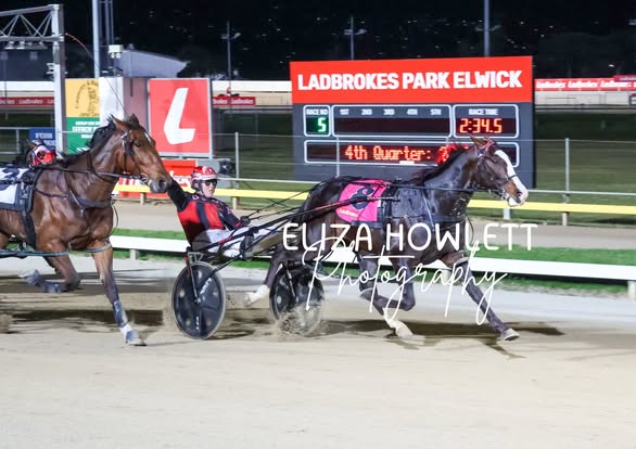 Surprises galore in Tasmania’s two year old classics. 2