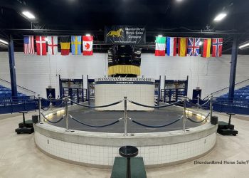 Standardbred Horse Sale day one live now